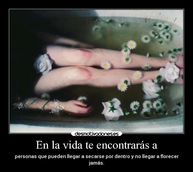 En la vida te encontrarás a - 