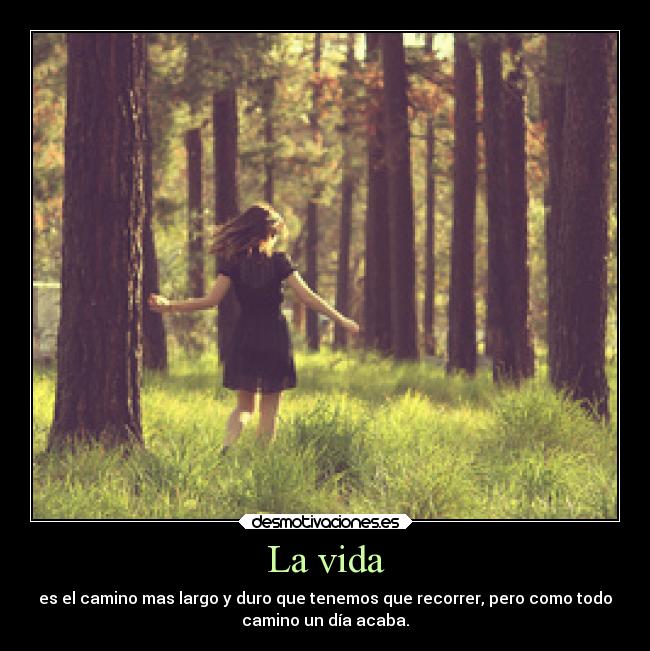 La vida - 