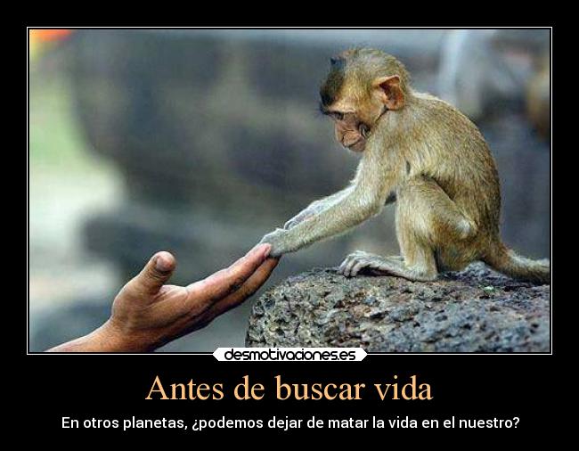 Antes de buscar vida - 