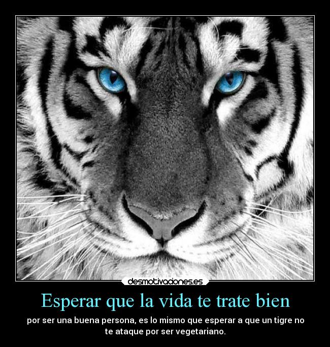 Esperar que la vida te trate bien - por ser una buena persona, es lo mismo que esperar a que un tigre no
te ataque por ser vegetariano.