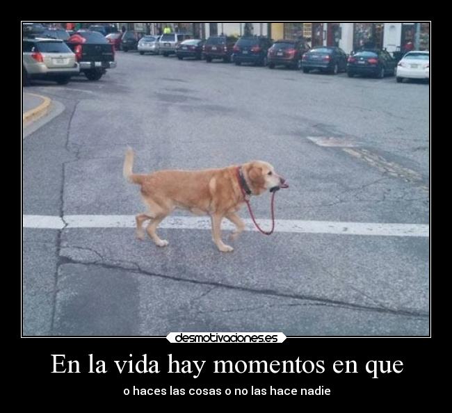 En la vida hay momentos en que - o haces las cosas o no las hace nadie