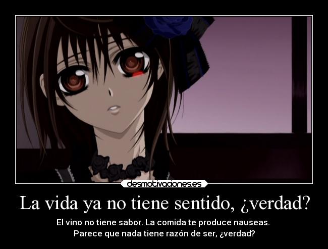La vida ya no tiene sentido, ¿verdad? -