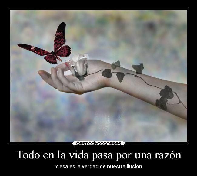 Todo en la vida pasa por una razón - 