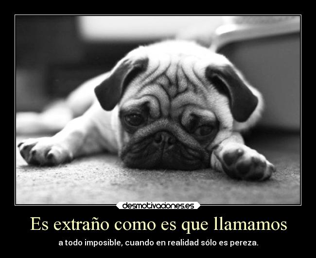 Es extraño como es que llamamos -