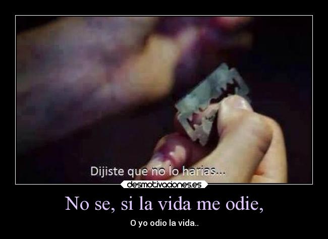 No se, si la vida me odie, - O yo odio la vida..