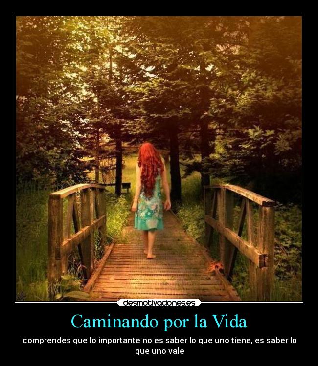 Caminando por la Vida -