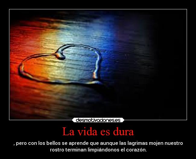 La vida es dura - , pero con los bellos se aprende que aunque las lagrimas mojen nuestro
rostro terminan limpiándonos el corazón.