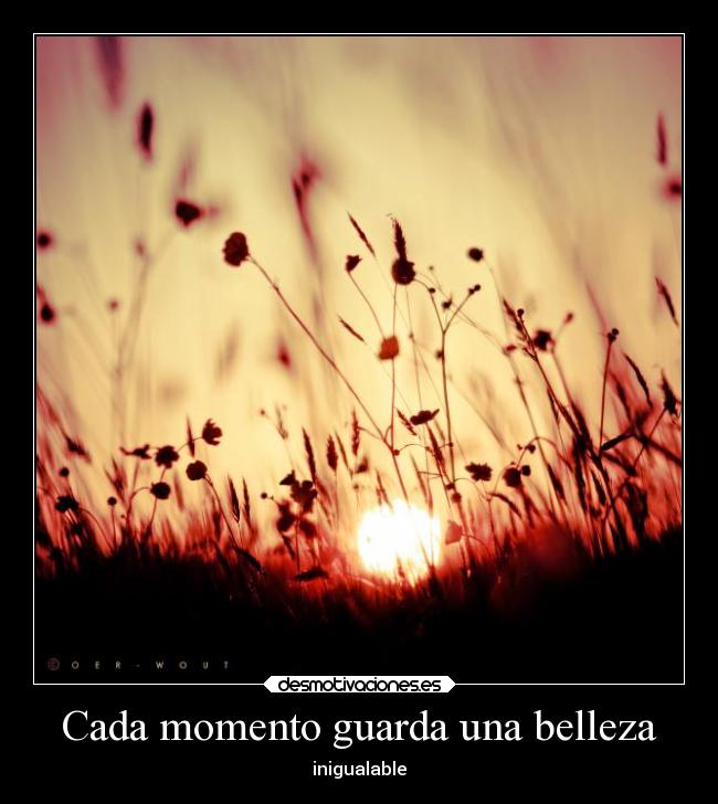 Cada momento guarda una belleza - inigualable