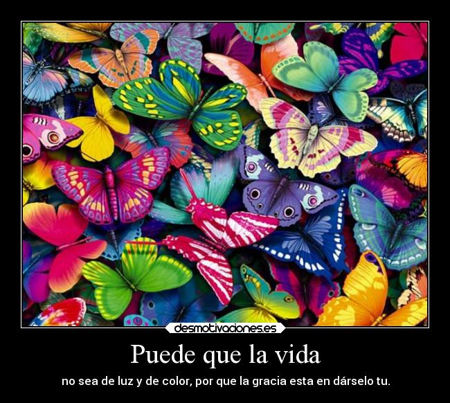 Puede que la vida - no sea de luz y de color, por que la gracia esta en dárselo tu.
