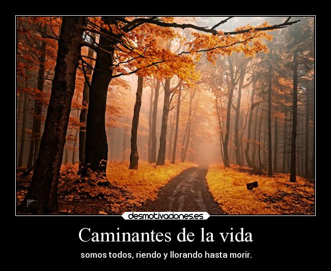 Caminantes de la vida - somos todos, riendo y llorando hasta morir.