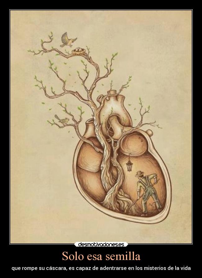 Solo esa semilla - 