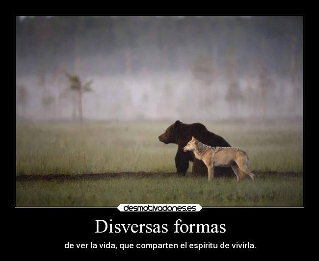 Disversas formas -