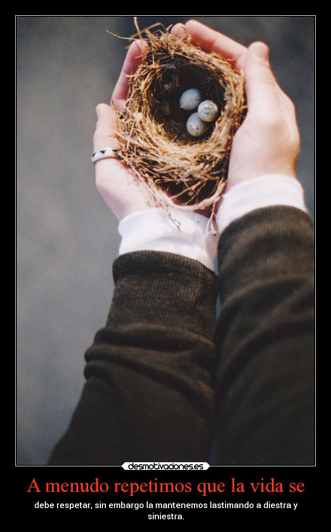 A menudo repetimos que la vida se -