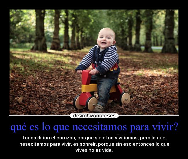 qué es lo que necesitamos para vivir? -