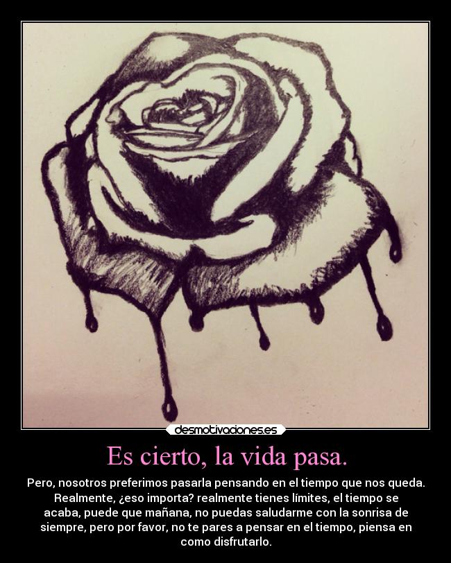 carteles vida vida desmotivaciones