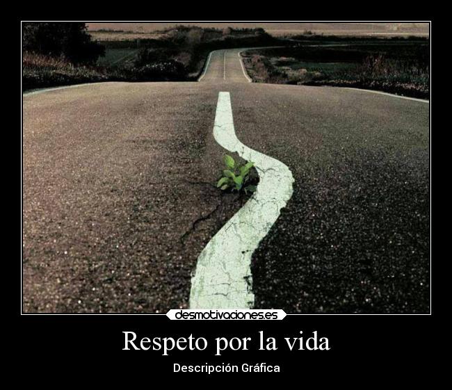 Respeto por la vida -