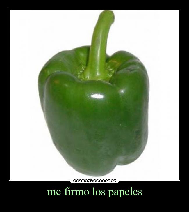 me firmo los papeles - 