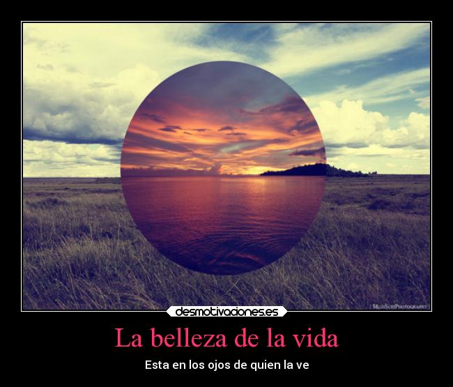 carteles vida vida desmotivaciones