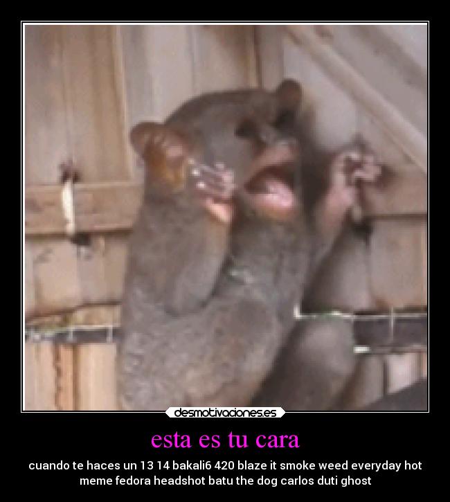 esta es tu cara - cuando te haces un 13 14 bakali6 420 blaze it smoke weed everyday hot
meme fedora headshot batu the dog carlos duti ghost