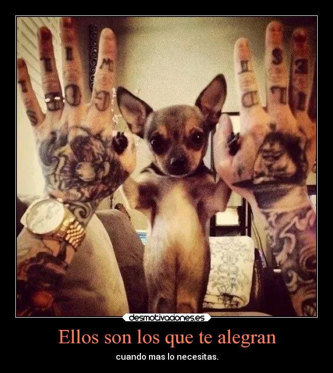 carteles vida desmotivaciones