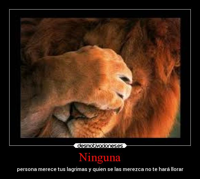 Ninguna - persona merece tus lagrimas y quien se las merezca no te hará llorar