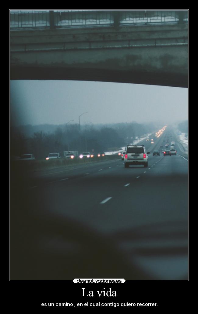 La vida -