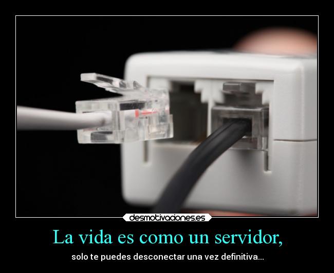 carteles vida vida desmotivaciones