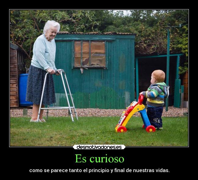 carteles vida desmotivaciones