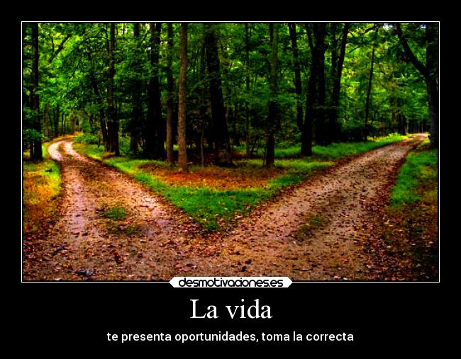 carteles vida vida desmotivaciones