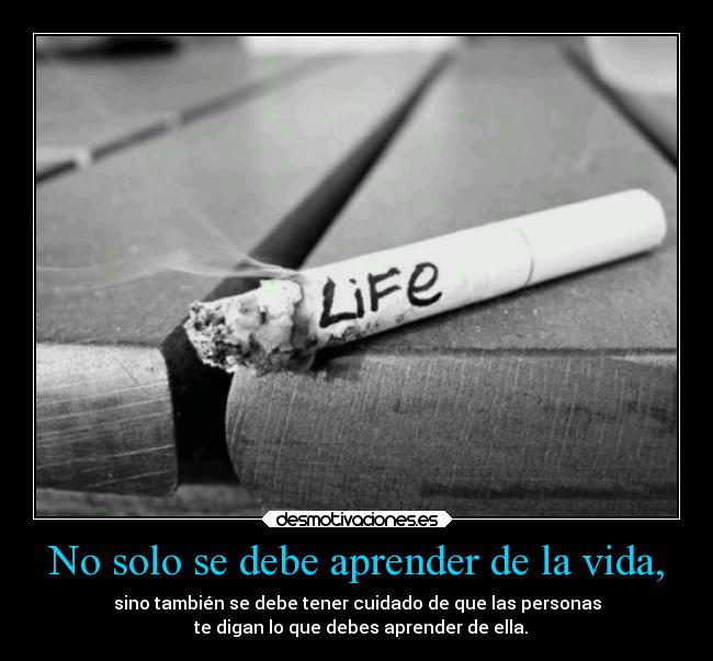 No solo se debe aprender de la vida, -