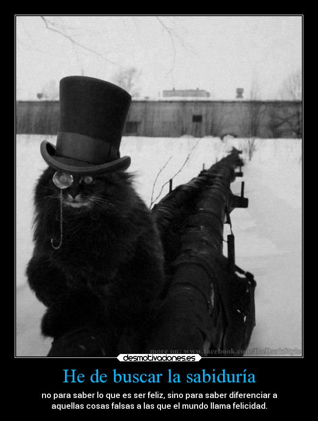He de buscar la sabiduría -