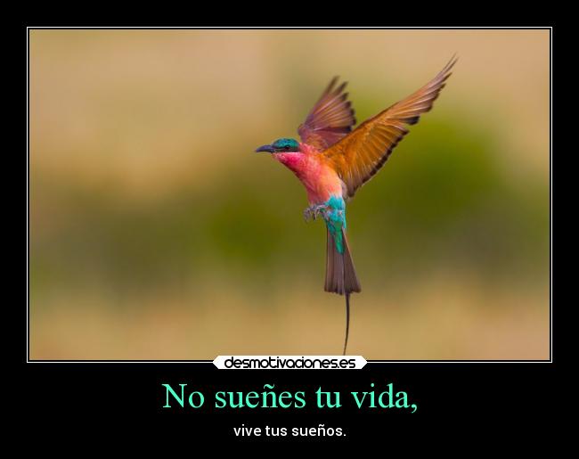 No sueñes tu vida, - vive tus sueños.