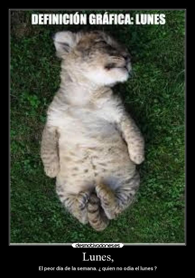 Lunes, - 