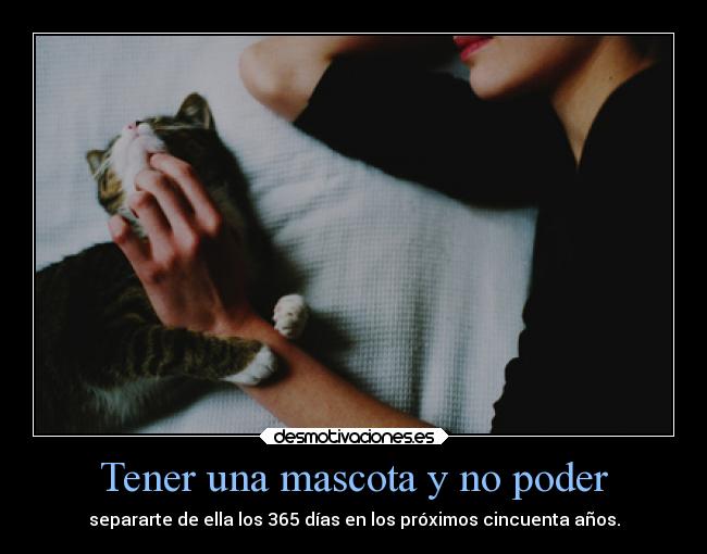 carteles vida directionerloveforever teechodemenosnoar kayla lady mis princesitas idsfbliehfper mascotas desmotivaciones