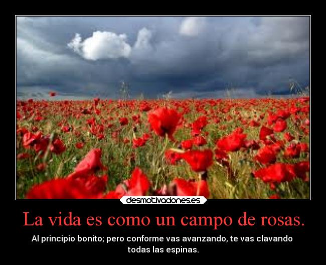 La vida es como un campo de rosas. - Al principio bonito; pero conforme vas avanzando, te vas clavando
todas las espinas.