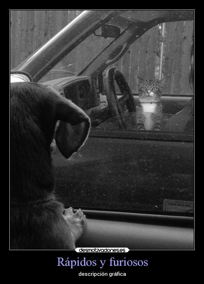 Rápidos y furiosos - descripción gráfica