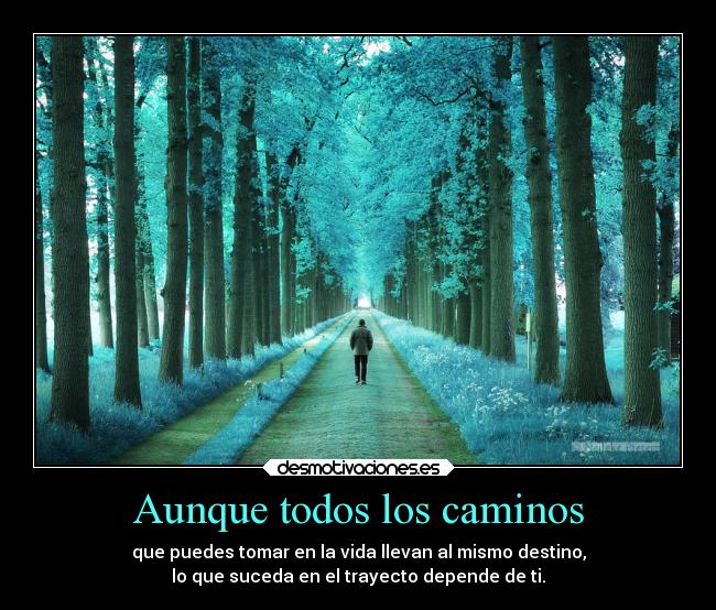 carteles vida godricvampire666 theinmortals unicorniosrosasyazules desmotivaciones