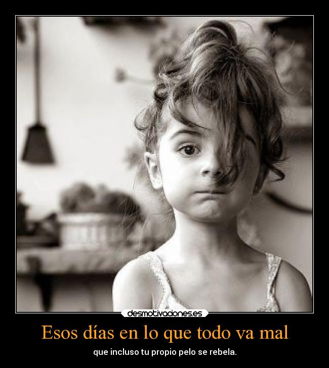 carteles vida humor nolocreo pelos elbuskador1 desmotivaciones