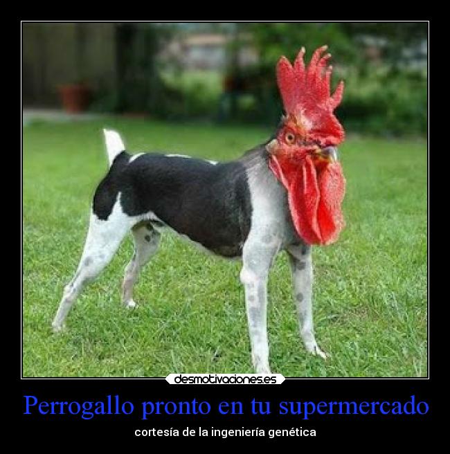 carteles vida ingenieria genetica monstruos futuro desmotivaciones