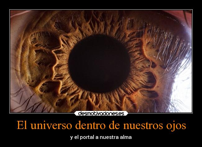 El universo dentro de nuestros ojos - 