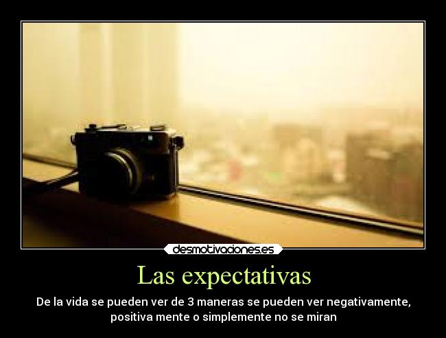 Las expectativas -