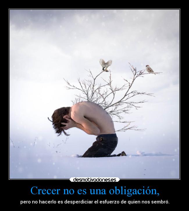 carteles vida madurar desmotivaciones sabiduria desmotivaciones