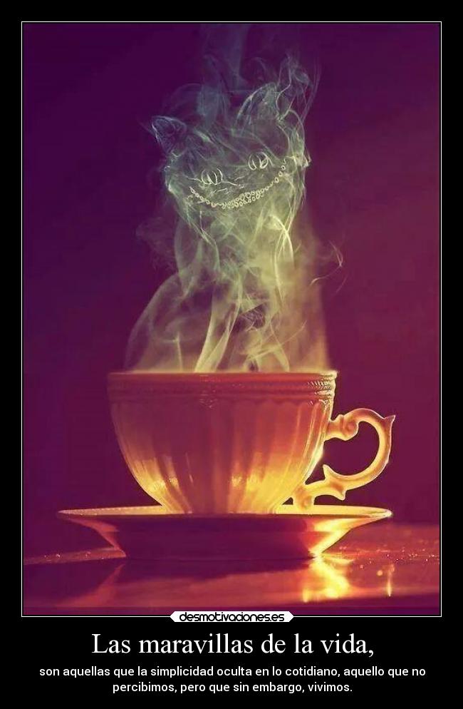 Las maravillas de la vida, - 