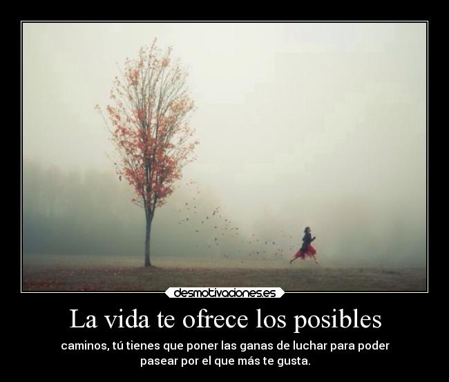 La vida te ofrece los posibles -