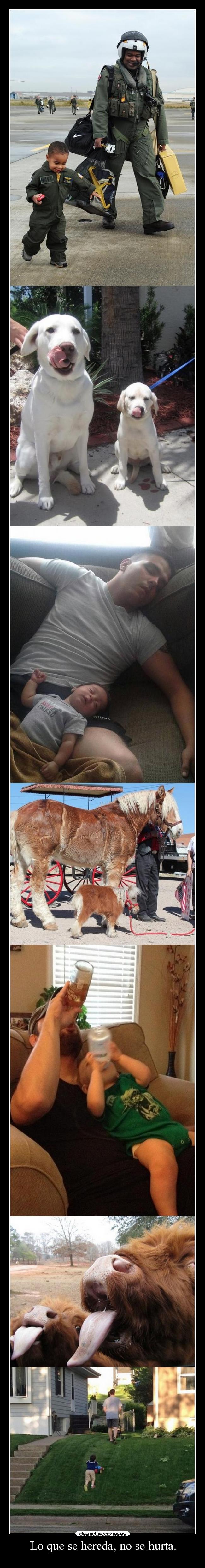 Lo que se hereda, no se hurta. -