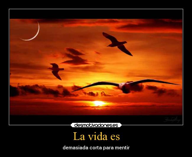 carteles vida vida mentir desmotivaciones