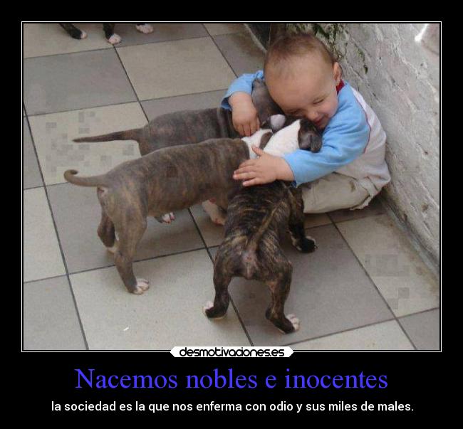 Nacemos nobles e inocentes -
