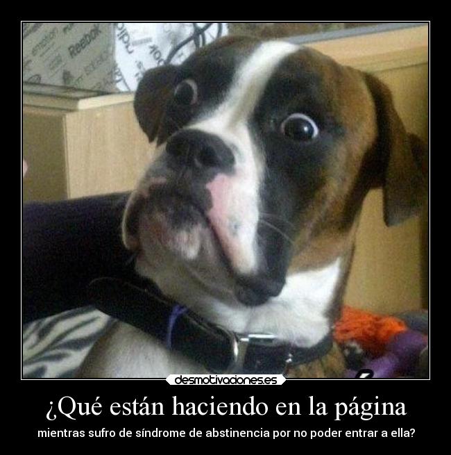 carteles vida nopodiaentrarshit karaoke adiccion desmotivaciones