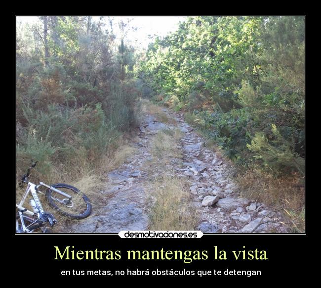 Mientras mantengas la vista - en tus metas, no habrá obstáculos que te detengan