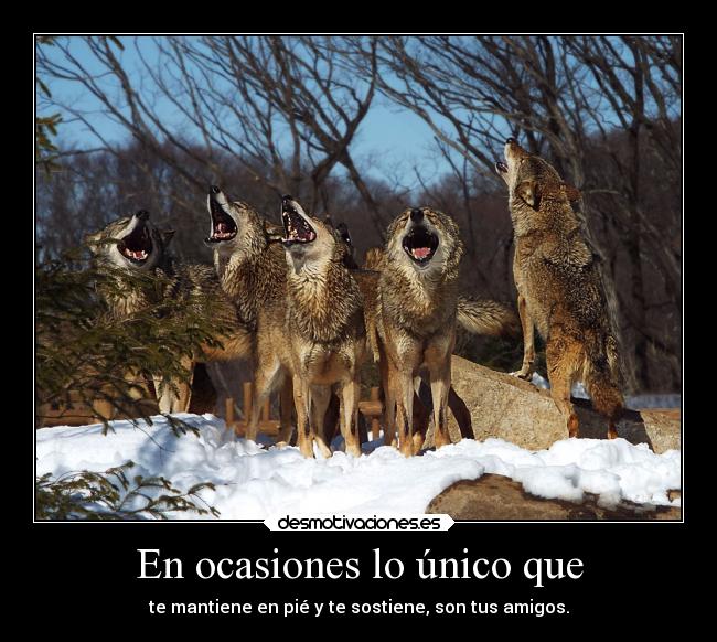 En ocasiones lo único que - 